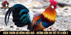 cach thuan ga rung