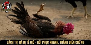 cach tri ga bi te gio
