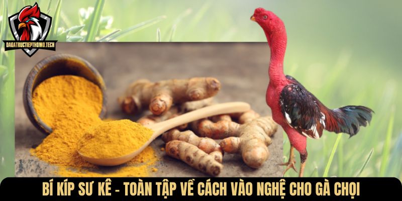 cach vao nghe cho ga choi