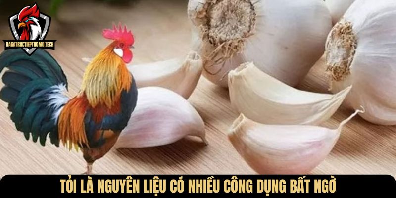 Tỏi là nguyên liệu có nhiều công dụng bất ngờ