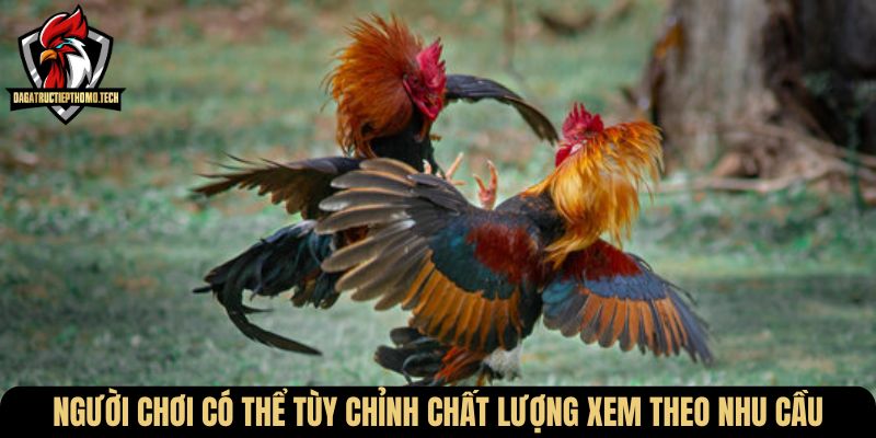 Người chơi có thể tùy chỉnh chất lượng xem theo nhu cầu