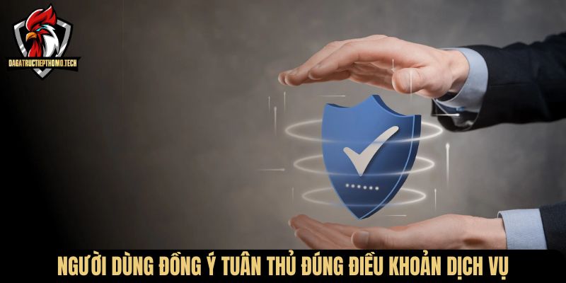 Người dùng đồng ý tuân thủ đúng điều khoản dịch vụ