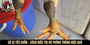 ga bi yeu chan