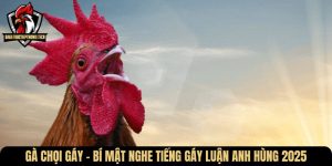 ga choi gay