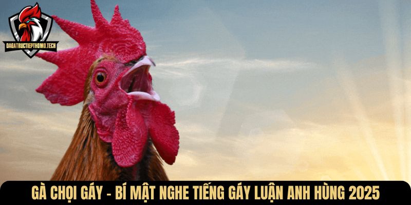 ga choi gay