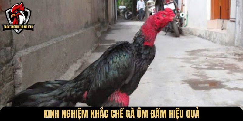 Kinh nghiệm khắc chế gà ôm đấm hiệu quả