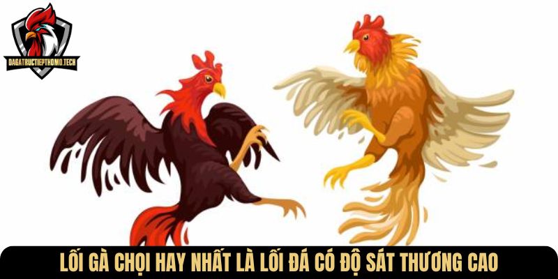 Lối gà chọi hay nhất là lối đá có độ sát thương cao