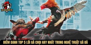 loi ga choi hay nhat