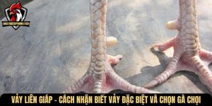 vay lien giap