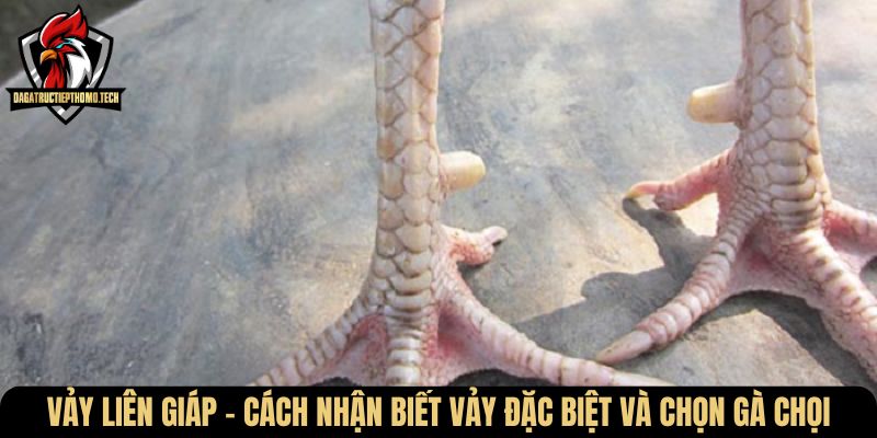 vay lien giap
